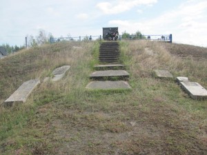 с13