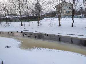 IMG_20210210_171057