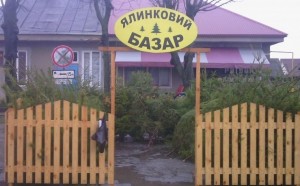 t_1_img_20161226_123137