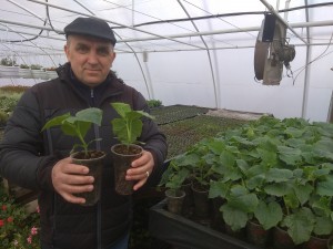 IMG_20220411_121551
