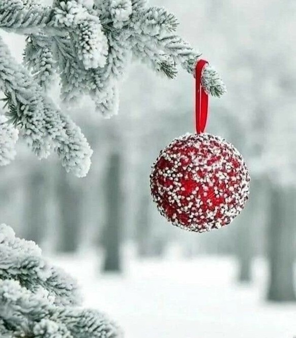 c07a2cf07d078016c1e0d495b35bac2f